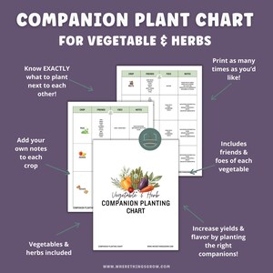 Vegetable & Herb Garden Companion Planting Guide, Garden Planner, Instant Download, Gift for Gardeners, Garden Printable