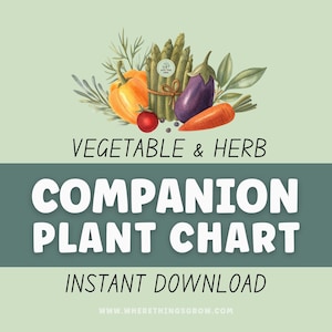 Vegetable & Herb Garden Companion Planting Guide, Garden Planner, Instant Download, Gift for Gardeners, Garden Printable