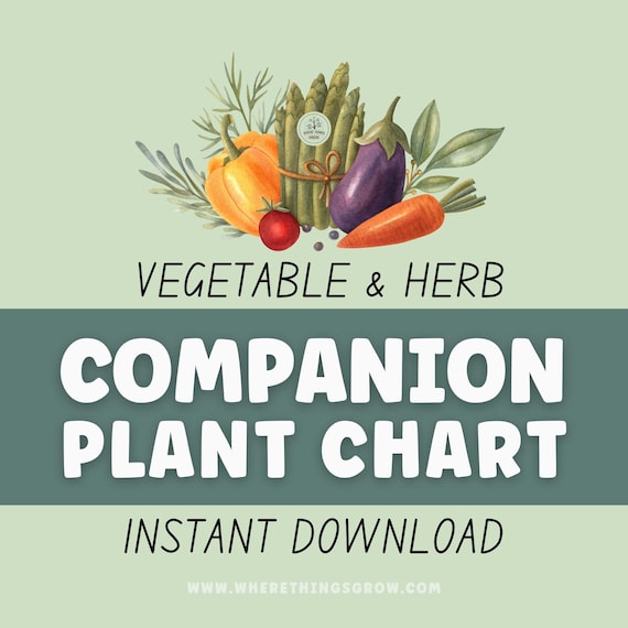 Companion Planting Guide: Vegetable & Herb Garden Planner (Digital Download)