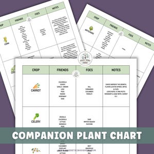 Vegetable & Herb Garden Companion Planting Guide, Garden Planner, Instant Download, Gift for Gardeners, Garden Printable