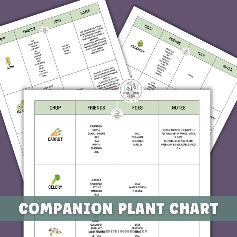 Vegetable & Herb Garden Companion Planting Guide, Garden Planner, Instant Download, Gift for Gardeners, Garden Printable