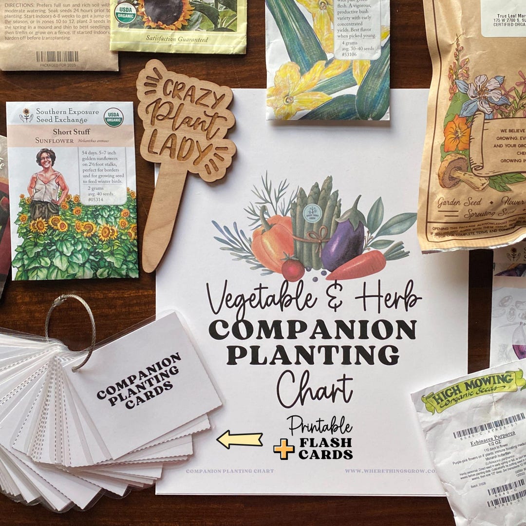 Companion Planting Guide: Garden Planner Flash Cards (PDF Download) - Etsy