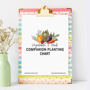 Vegetable & Herb Garden Companion Planting Guide, Garden Planner, Instant Download, Gift for Gardeners, Garden Printable