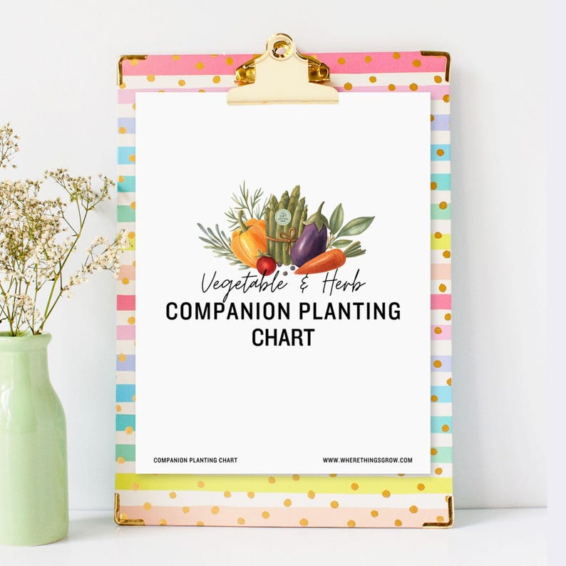Vegetable & Herb Garden Companion Planting Guide, Garden Planner, Instant Download, Gift for Gardeners, Garden Printable