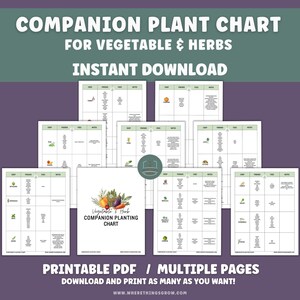 Vegetable & Herb Garden Companion Planting Guide, Garden Planner, Instant Download, Gift for Gardeners, Garden Printable