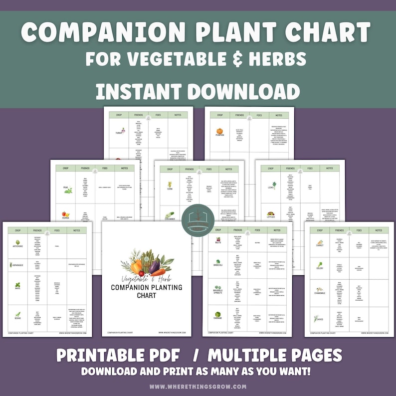 Vegetable & Herb Garden Companion Planting Guide, Garden Planner, Instant Download, Gift for Gardeners, Garden Printable