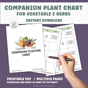 Vegetable & Herb Garden Companion Planting Guide, Garden Planner, Instant Download, Gift for Gardeners, Garden Printable