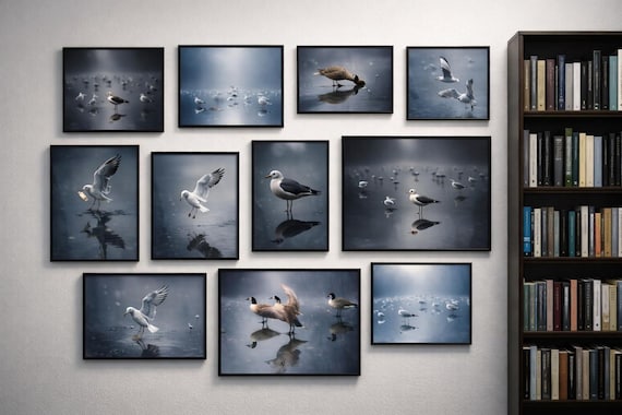 Icygulls Full Collection