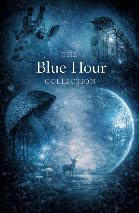 The Blue Hour Collection