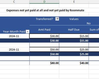 Seguimiento de gastos de compañeros de piso con resúmenes en el panel