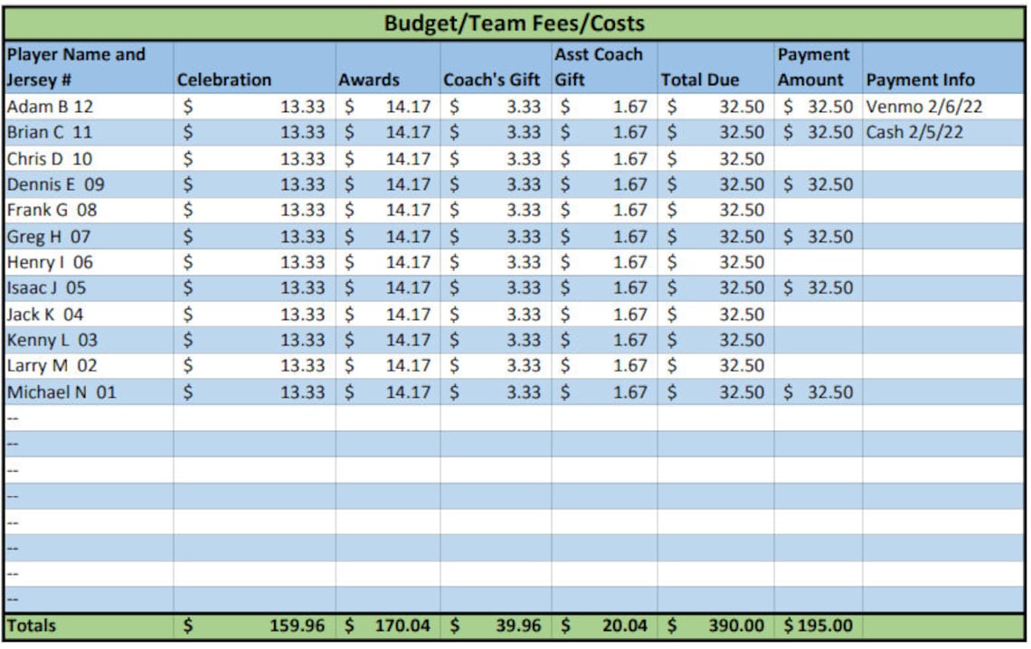 Digital Youth Sports Team Budget PDF Etsy