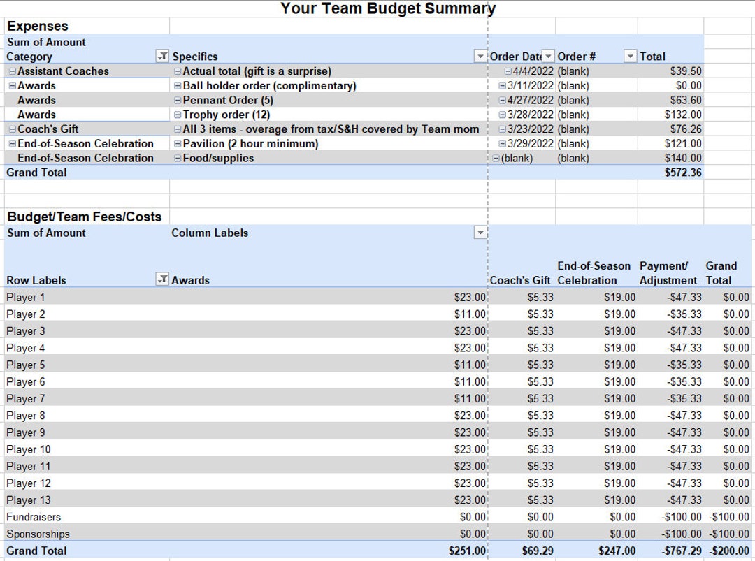 Digital Youth Sports Team Budget Excel Etsy