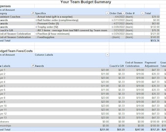 Youth Sports Team Budget - Excel