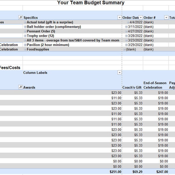 Digital Youth Sports Team Budget - Excel