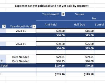 Registro de Gastos y Reembolsos de Coparentalidad - Archivo Excel - Descarga Digital
