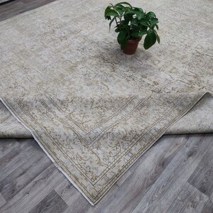 May include: A beige area rug with a floral pattern and a border. The rug is folded in half and a small potted plant is sitting on top of the rug.