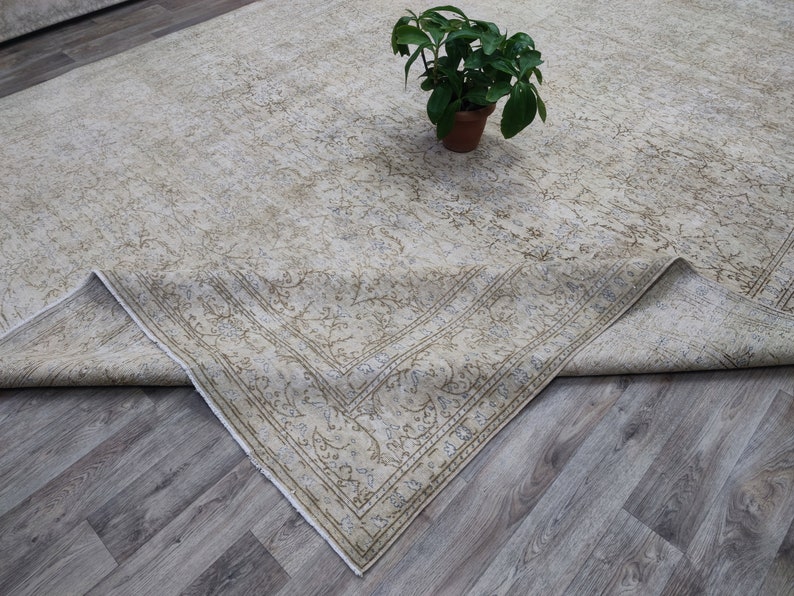 May include: A beige area rug with a floral pattern and a border. The rug is folded in half and a small potted plant is sitting on top of the rug.