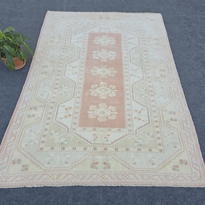 May include: Cream and peach-toned rectangular rug with a central peach panel displaying floral and geometric patterns. The rug has a cream border with similar designs. A potted plant is in the top left. The rug is on a dark grey surface.