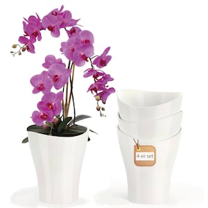 May include: A vibrant purple orchid plant in a white, curved-edge planter. The image also shows a set of four matching white planters, one with a tag that reads "4-er set". The orchid has multiple blooms.