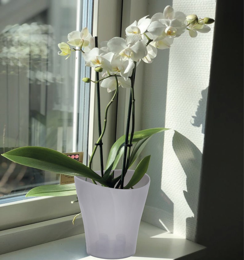 Garten Lux Orchid Pot Set of 4 2L Orchid Planter Large White