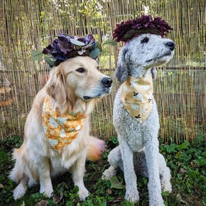 May include: Two dogs wearing matching triangular bandanas with a yellow background and a repeating pattern of white ghosts and orange pumpkins. Each dog also wears a circular floral crown featuring dark purple flowers and green foliage.