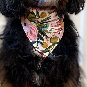 garden party rose rifle paper co snap on dog bandana pink floral pet scarf blush cotton dog bandana image 5