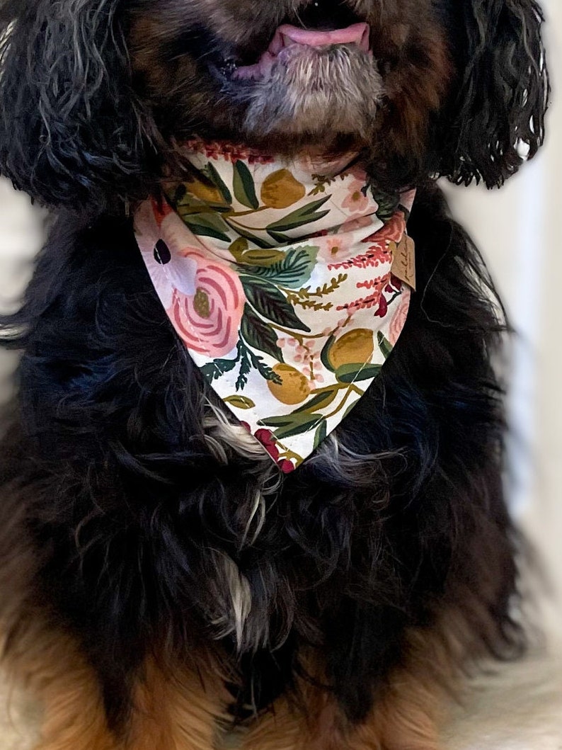 garden party rose rifle paper co snap on dog bandana pink floral pet scarf blush cotton dog bandana image 5