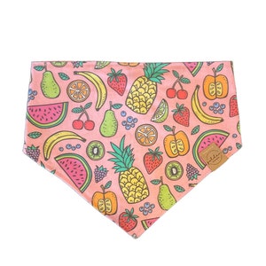 fruit salad ∙ pink | snap on dog bandana | summer pet scarf | watermelon strawberry pineapple kiwi pear orange