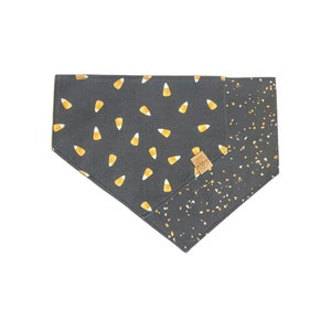 Puede incluir: Un bandana para perro gris con un patr&oacute;n de ma&iacute;z dulce en un lado y un patr&oacute;n de confeti en el otro.