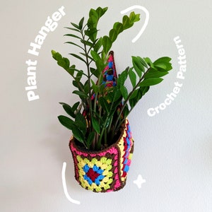 May include: A crocheted plant hanger with a colorful geometric pattern in shades of pink, yellow, blue, and brown. The hanger is holding a green plant with long, narrow leaves.