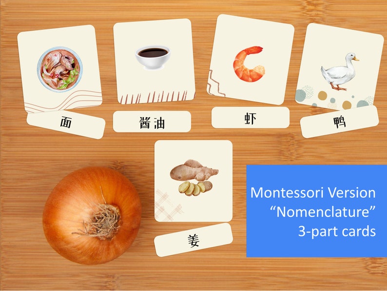 Chineseenglish Bilingual Printable Flashcards Food Unit Etsy