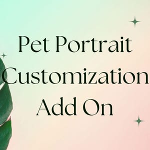 Custom Pet Portrait Add On