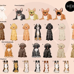 May include: A digital illustration of nine different dog breeds, including a Bichon Frise, French Bulldog, Goldendoodle, Mini Goldendoodle, and Australian Shepherd. Each breed is illustrated in multiple color variations.