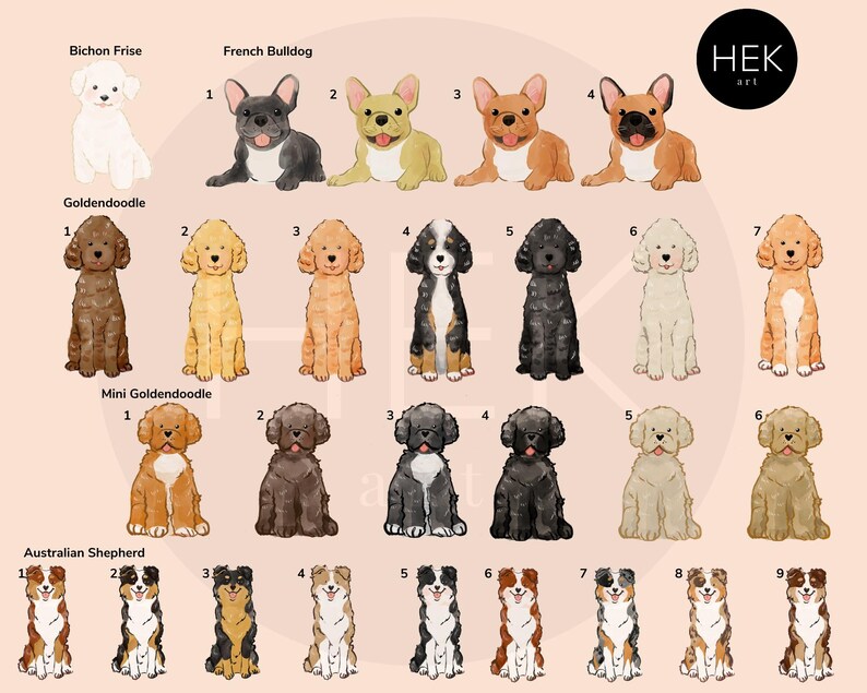 May include: A digital illustration of nine different dog breeds, including a Bichon Frise, French Bulldog, Goldendoodle, Mini Goldendoodle, and Australian Shepherd. Each breed is illustrated in multiple color variations.