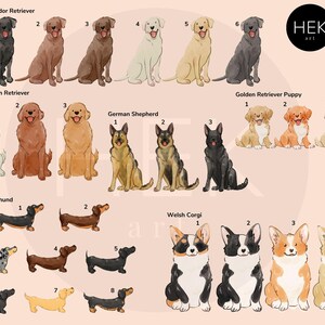 May include: A digital illustration of different dog breeds, including Labrador Retrievers, Golden Retrievers, German Shepherds, Dachshunds, and Welsh Corgis. The dogs are depicted in various poses and colors, with numbers indicating their order.