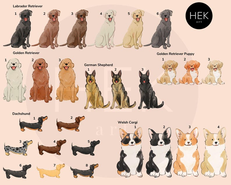 May include: A digital illustration of different dog breeds, including Labrador Retrievers, Golden Retrievers, German Shepherds, Dachshunds, and Welsh Corgis. The dogs are depicted in various poses and colors, with numbers indicating their order.