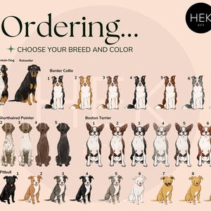 May include: A chart with illustrations of different dog breeds, including Bernese Mountain Dog, Rotweiler, Border Collie, German Shorthaired Pointer, Boston Terrier, and Pitbull. The chart is titled "Ordering... CHOOSE YOUR BREED AND COLOR".