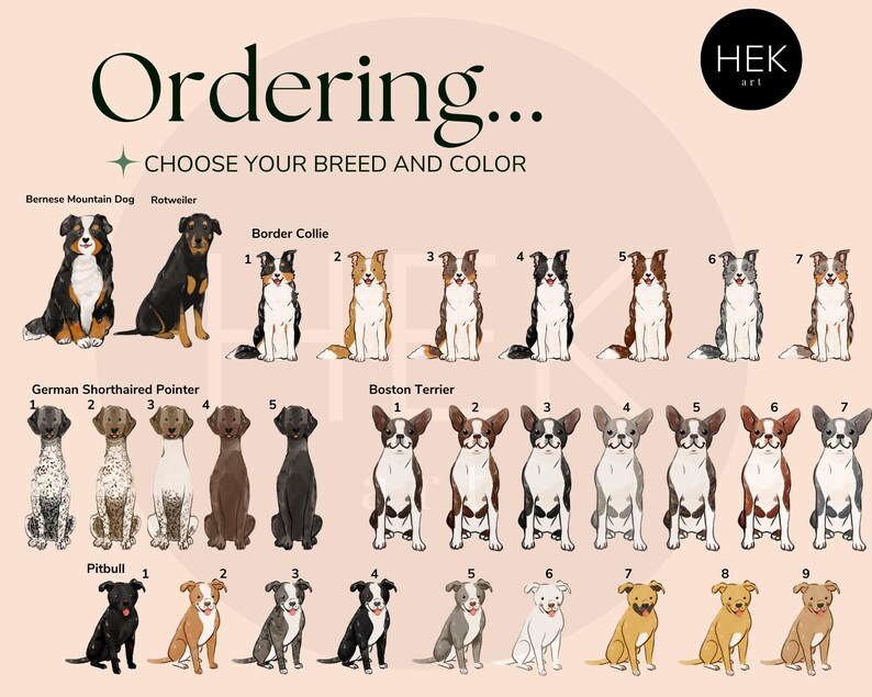 May include: A chart with illustrations of different dog breeds, including Bernese Mountain Dog, Rotweiler, Border Collie, German Shorthaired Pointer, Boston Terrier, and Pitbull. The chart is titled "Ordering... CHOOSE YOUR BREED AND COLOR".