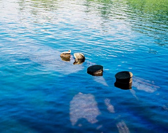 USS Arizona