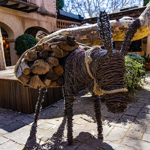 Wire Donkey, Sedona, AZ