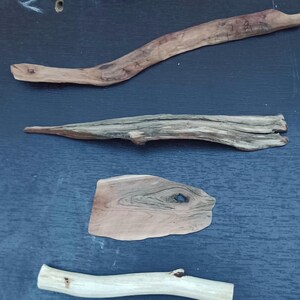 May include: A collection of driftwood pieces in various shapes and sizes. The wood ranges in color from light tan to dark brown, with visible grain and textures. Some pieces are smooth, while others are rough and weathered, ideal for crafting or decor.