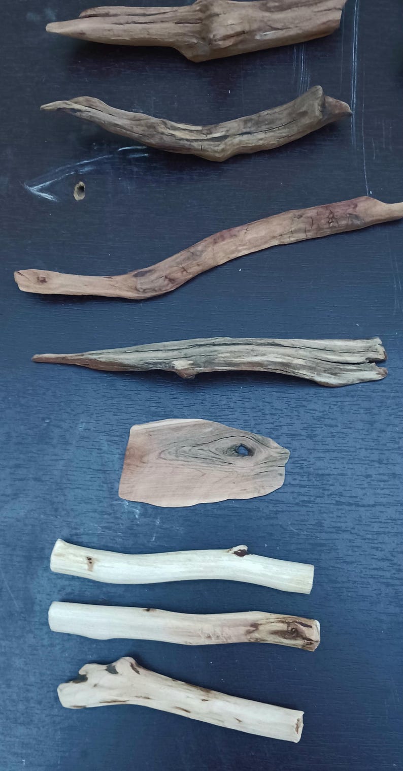 May include: A collection of driftwood pieces in various shapes and sizes. The wood ranges in color from light tan to dark brown, with visible grain and textures. Some pieces are smooth, while others are rough and weathered, ideal for crafting or decor.