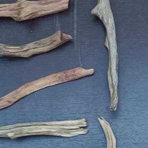 May include: Assortment of driftwood pieces in various shapes and sizes, arranged on a dark blue surface. The wood tones range from light gray to brown, showcasing natural textures and knots. Ideal for crafting or decor.