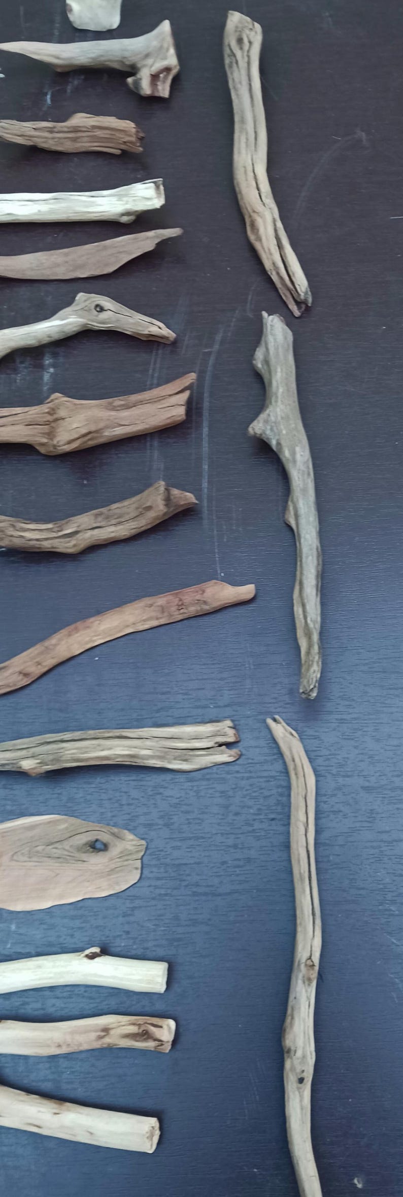 May include: Assortment of driftwood pieces in various shapes and sizes, arranged on a dark blue surface. The wood tones range from light gray to brown, showcasing natural textures and knots. Ideal for crafting or decor.