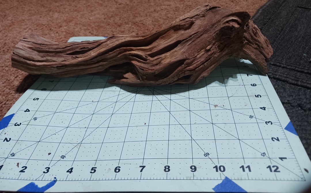 Manzanita Stump Log Weathered Driftwood Etsy