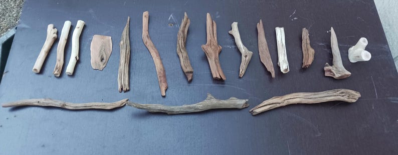 May include: Assortment of driftwood pieces in various shapes and sizes. The collection includes smooth, light-colored sticks, textured brown branches, and a few pieces with unique, natural forms. Ideal for crafting or decorative purposes.