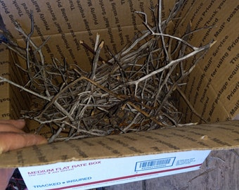 Box of micro all natural weathered manzanita driftwood stick peices