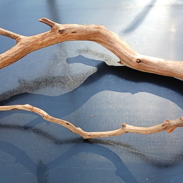Driftwood Branch Etsy