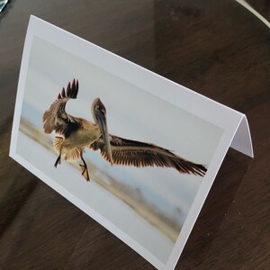 Biglietto di auguri per pellicano volante (6,25 x 9" orizzontale)