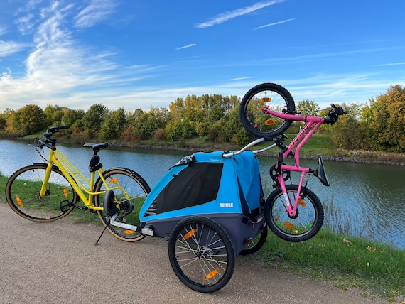 hunde fahrradanhänger für labrador Faltbarer Hundefahrradanhänger Bis zu 20 kg E-Bike geeignet Karottenkuchen mit Frischkäse-Frosting – Präsentieren & Übergeben Colour:Green